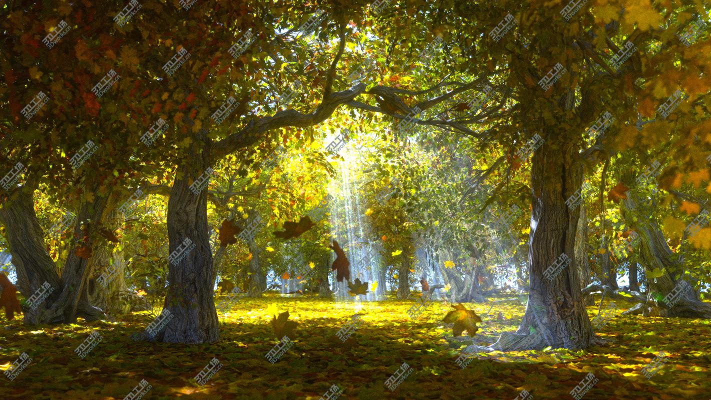 images/goods_img/202105073/Autumn Forest Animated 3D/1.jpg
